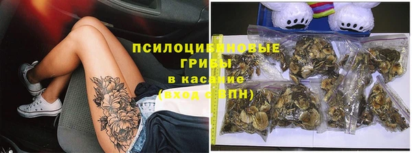 гидра Кинешма