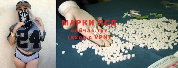 МДПВ Лагань