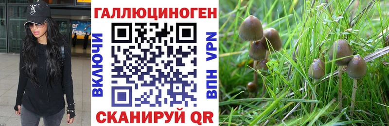 Псилоцибиновые грибы GOLDEN TEACHER  где купить наркоту  Кирсанов 