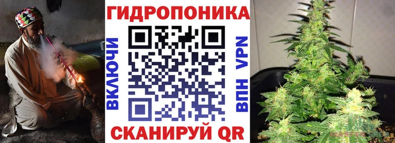 Конопля LSD WEED  где можно купить   Кирсанов 